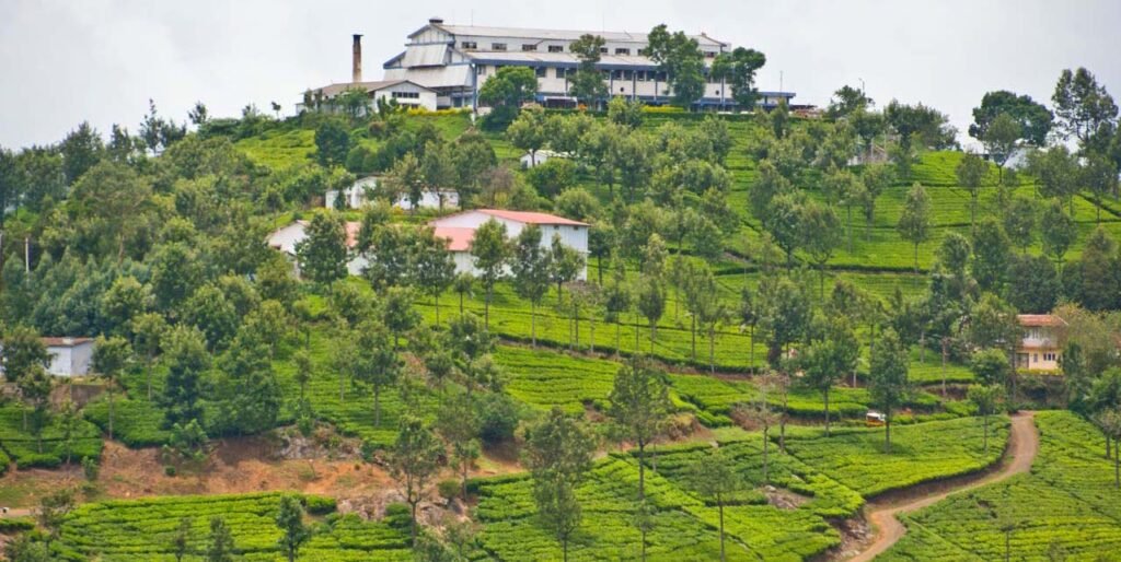 10 Places to Visit in Coonoor and Ooty