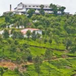 10 Places to Visit in Coonoor and Ooty