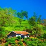 10 Places to Visit in Ooty and Coonoor in 3 Days