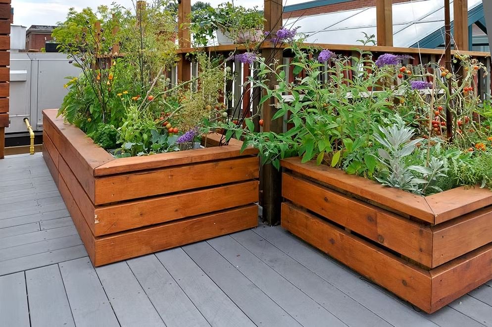 Simple Terrace Garden Ideas for Small Spaces