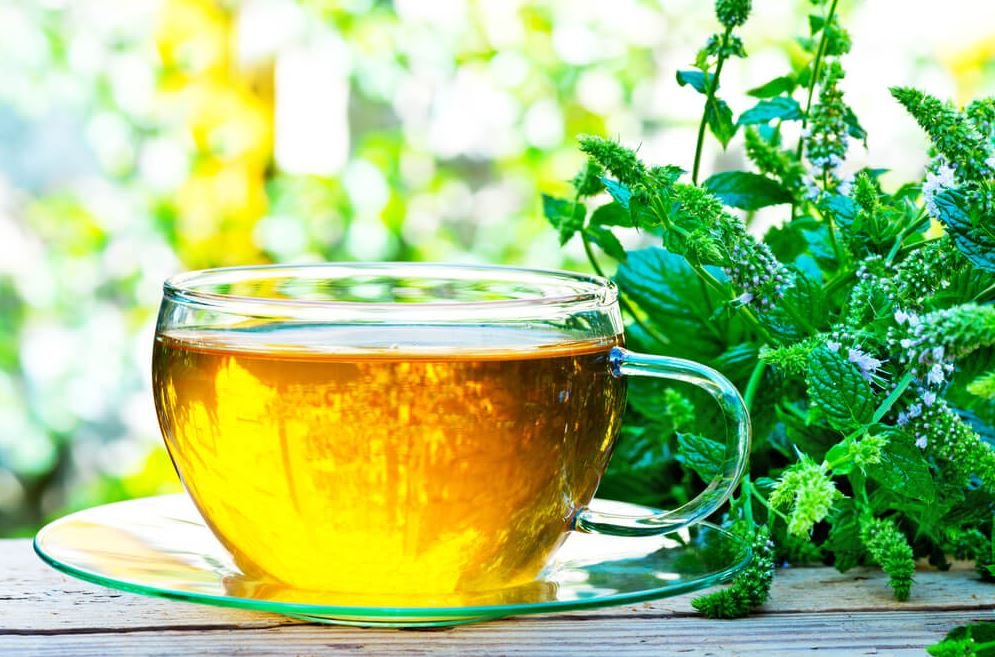 Which Tea Is Best for Weight Loss