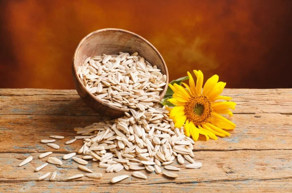 Top High Protein Nuts and Seeds