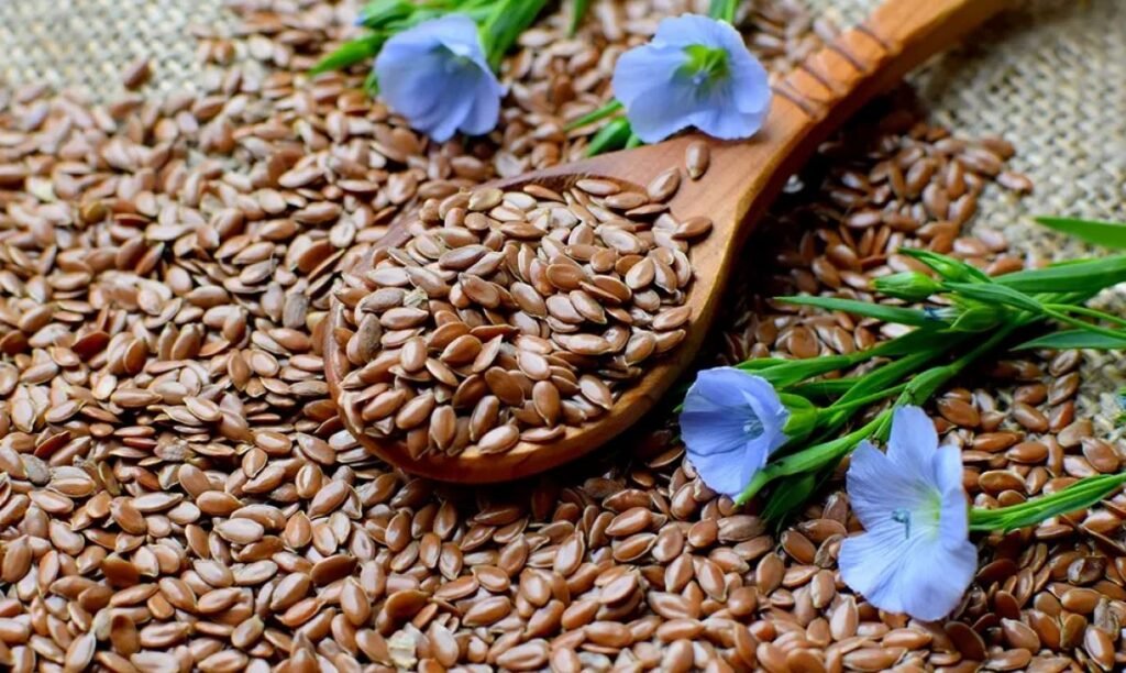 Top High Protein Nuts and Seeds