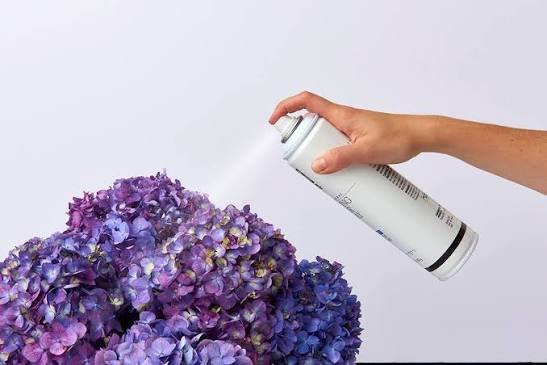 How to Keep Cut Flowers Fresh
