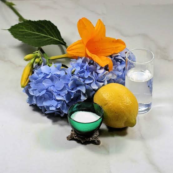 How to Keep Cut Flowers Fresh