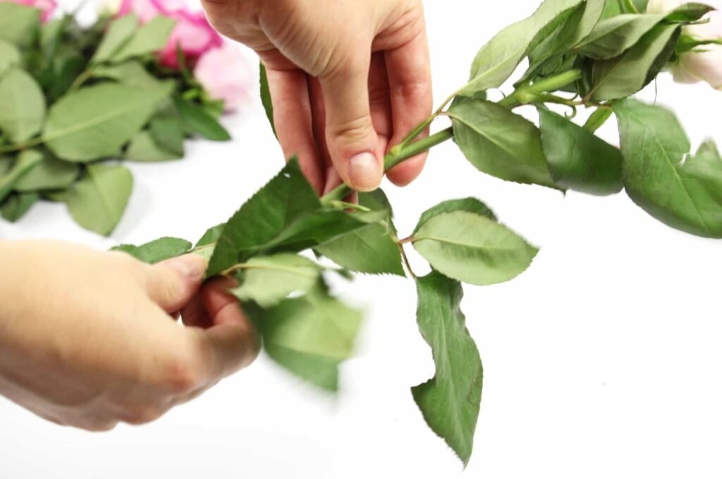 How to Keep Cut Flowers Fresh