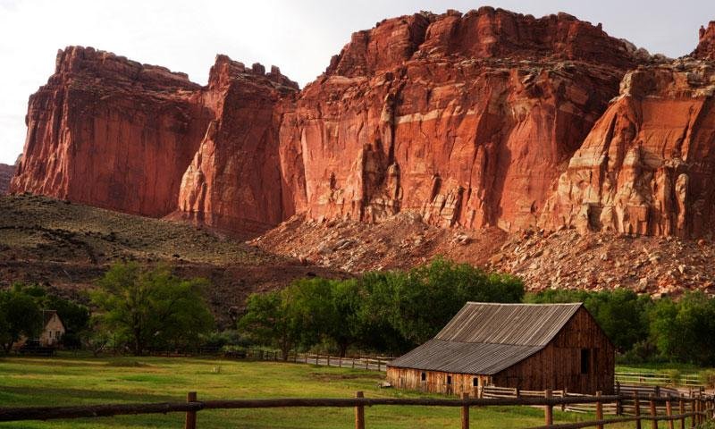 Things to Do in Capitol Reef National Park