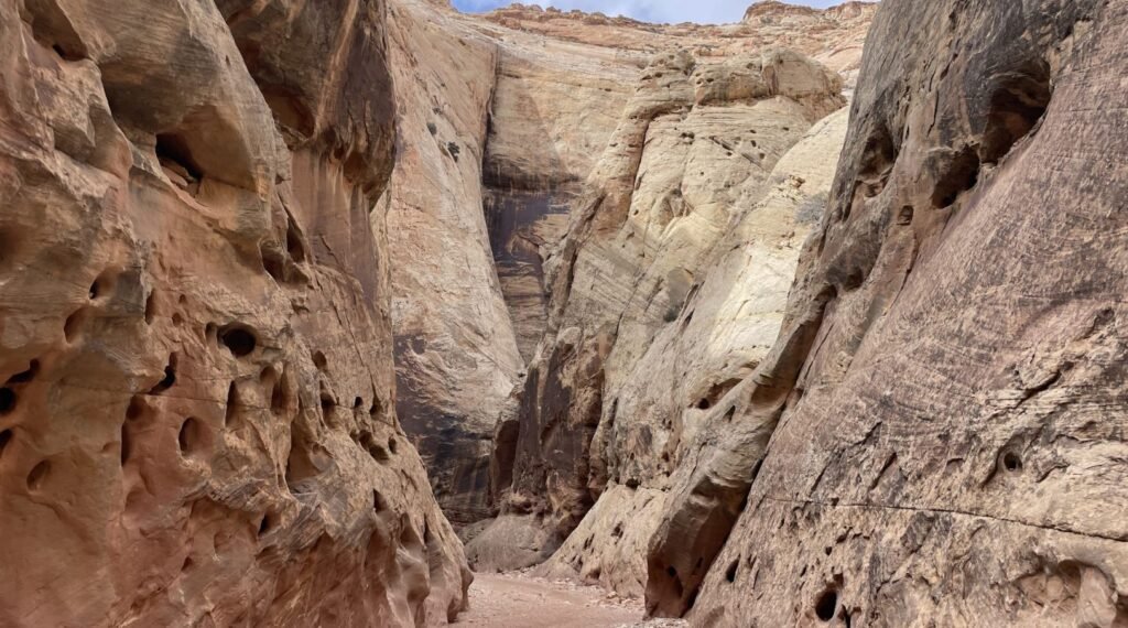 Things to Do in Capitol Reef National Park