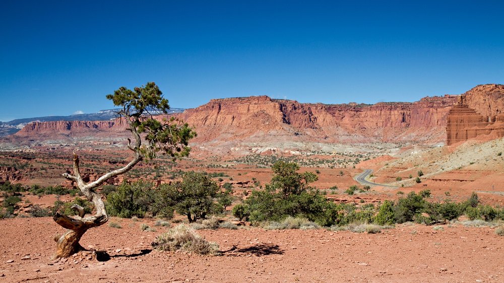 Things to Do in Capitol Reef National Park