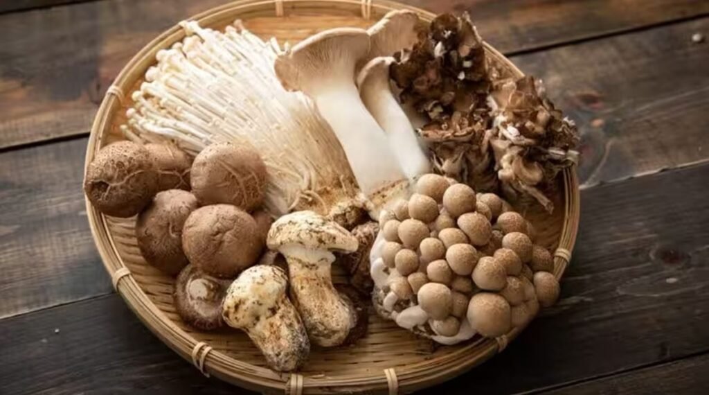 Vegetarian Sources of Protein