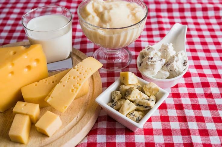 Vegetarian Sources of Protein