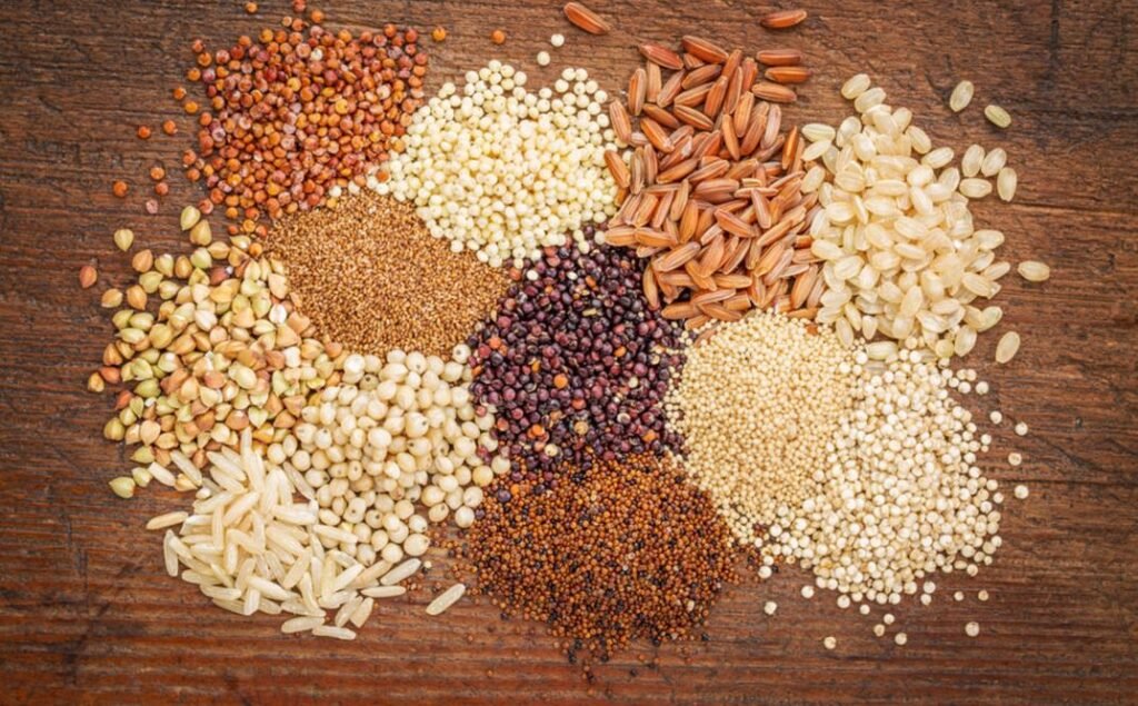 Vegetarian Sources of Protein