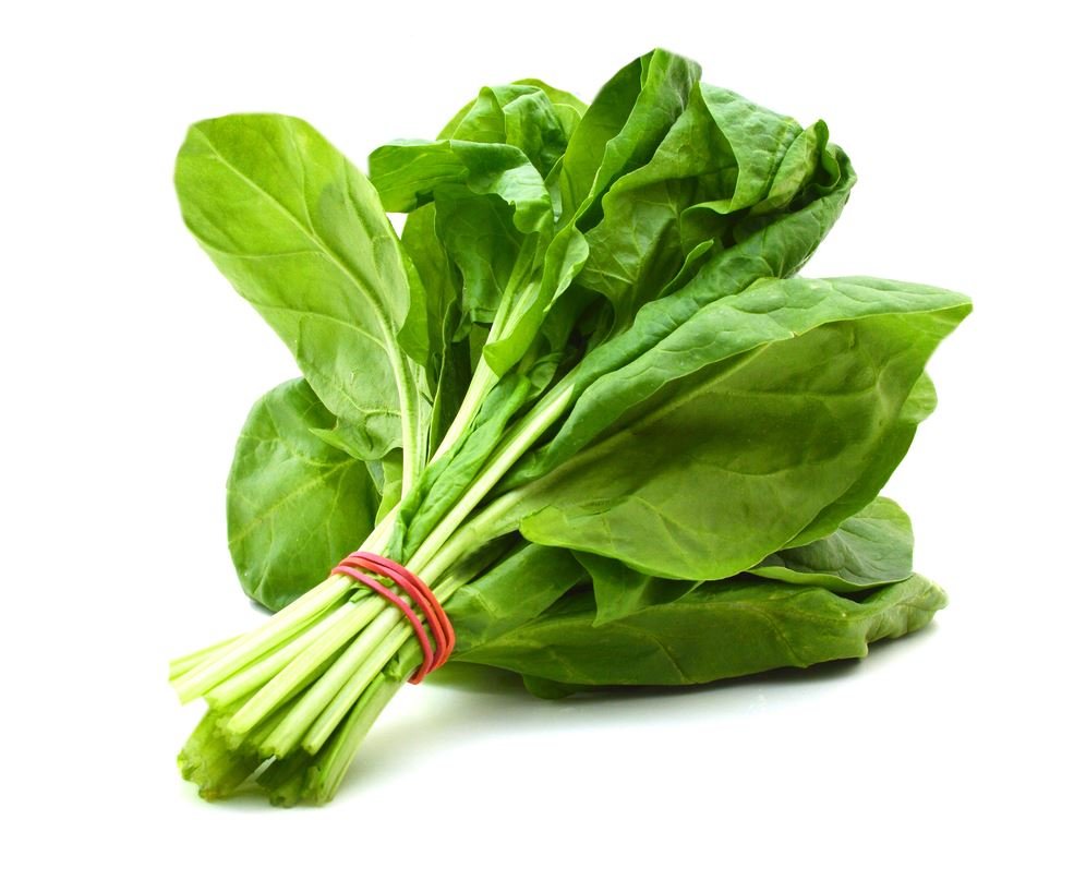 Vegetarian Sources of Protein